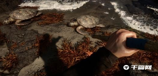 《森林之子》Steam发售日期一览