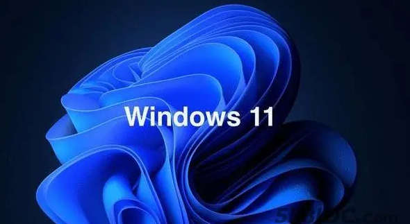 win11无法读取u盘解决方法