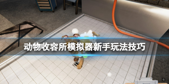 《动物收容所模拟》应该怎么玩