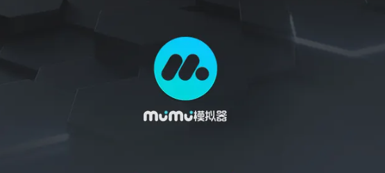 《网易MuMu模拟器》怎么隐藏键位