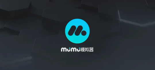 《网易MuMu模拟器》怎么清理缓存