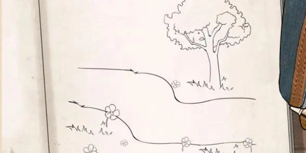 《就挺秃然的》女孩的日记通关攻略