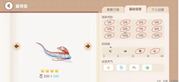 《心动小镇》皇带鱼钓鱼时间地点