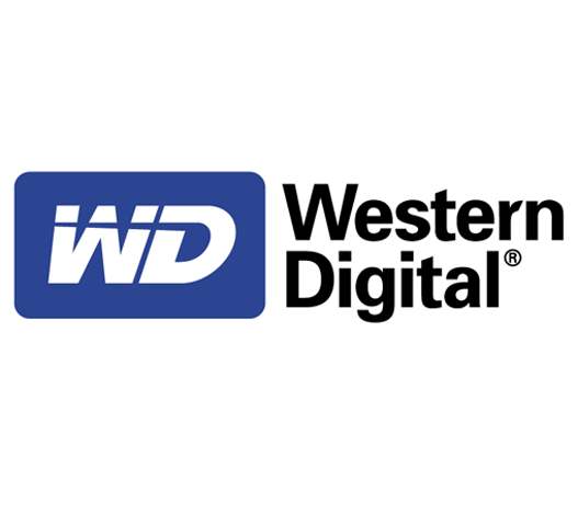 1970年4月23日通用电子成立，于1971年7月更名为西部数据（Western Digital）