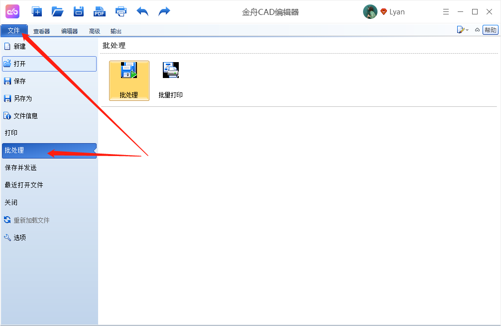《金舟CAD编辑器》如何批量转换文件格式