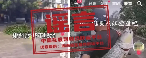 【2024-07-30】今日互联网辟谣一览，教育部留学服务中心发布辟谣声明
