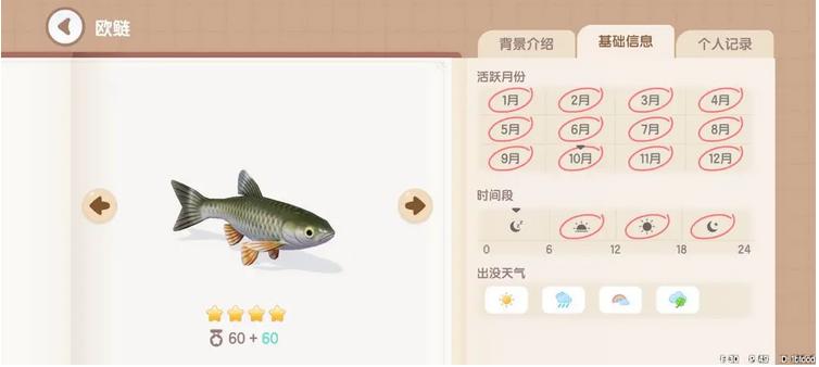 《心动小镇》欧鲢钓鱼时间地点具体一览