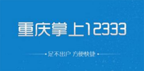 12333重庆社保查询网官网版