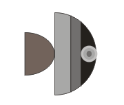 《CorelDRAW》绘制小鱼方法介绍